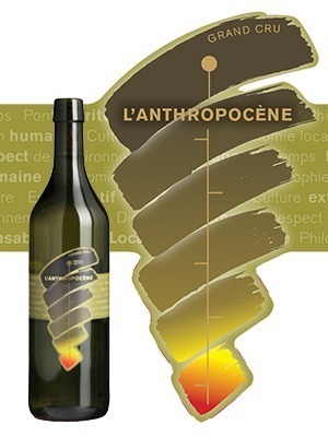 Bio wine from the Lavaux Domaine Piccard