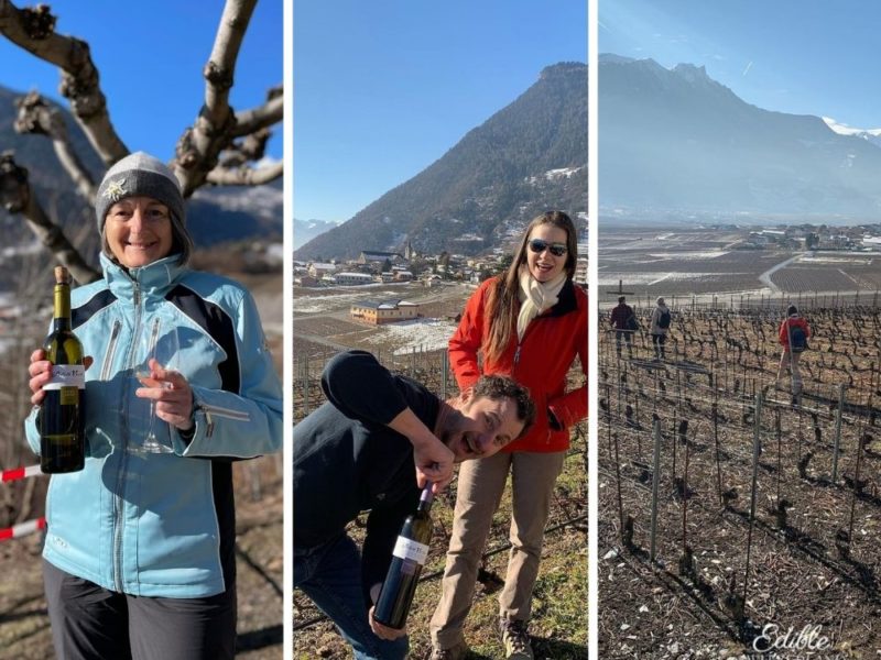 Wine hike in Chamoson Valais in January