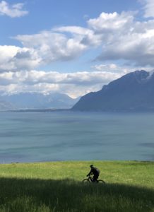 ebike tour of Lavaux with professional guide. Stop for Swiss wine tasting after. 