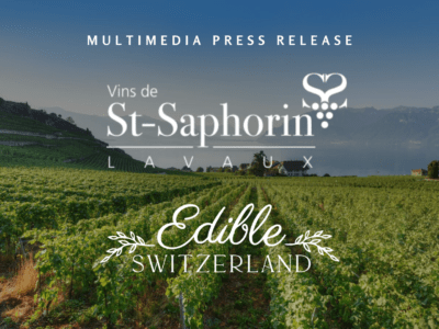 Multimedia press release dinner in the vineyards 2022