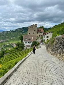 Walking wine tasting tour in Lavaux with Edible Switzerland