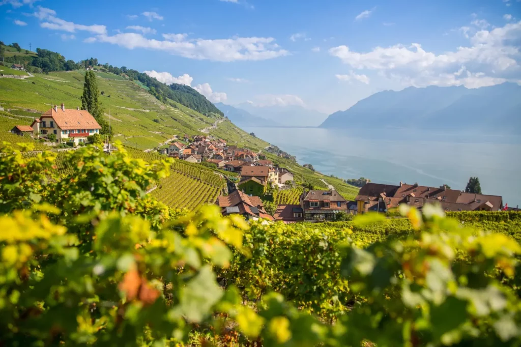 Wine tasting village in the Lavaux. Swiss wine tour with Edible Switzerland. 
