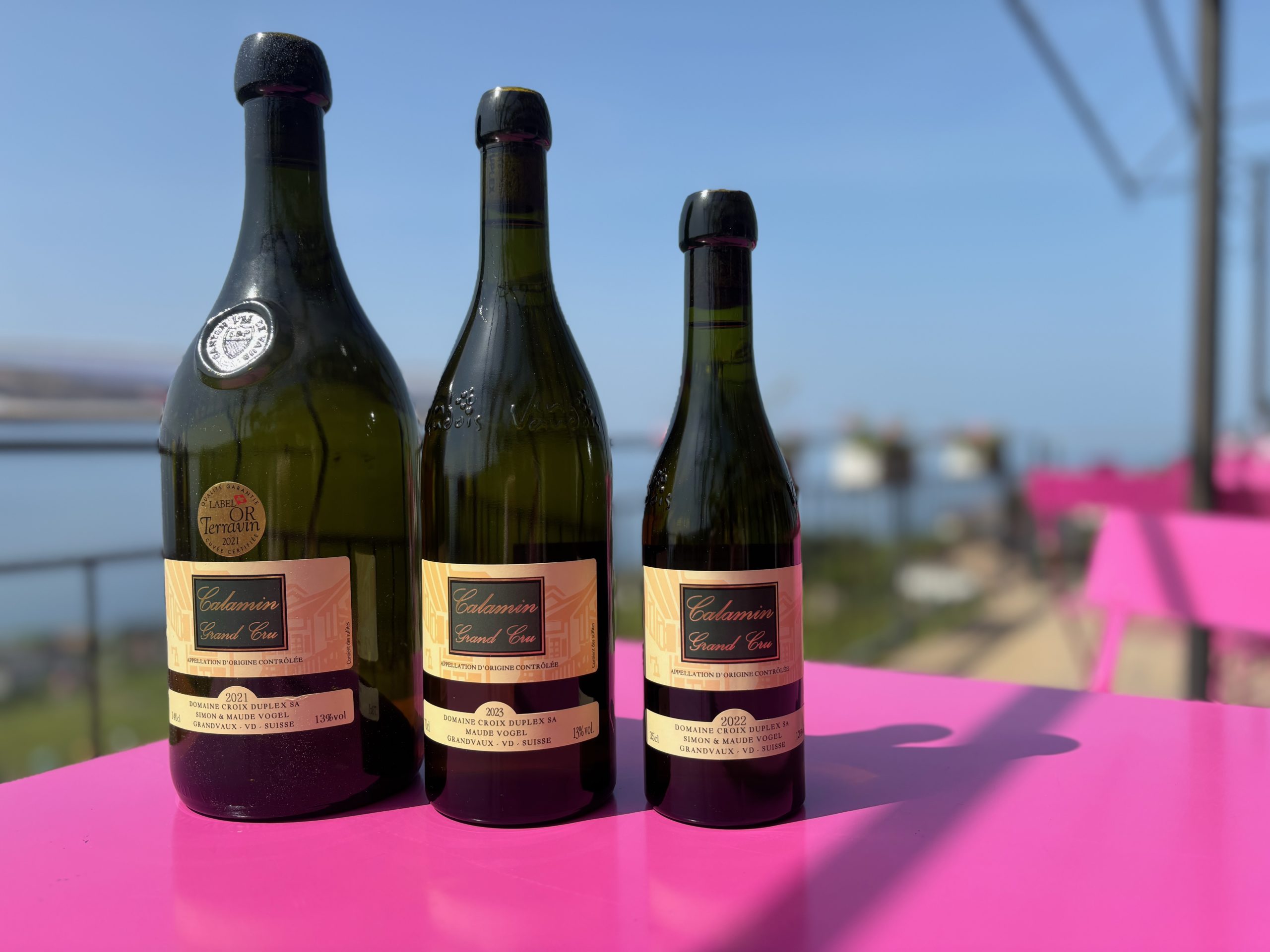 Beyond the Bottle: A Macro-Economic Ripple Effect